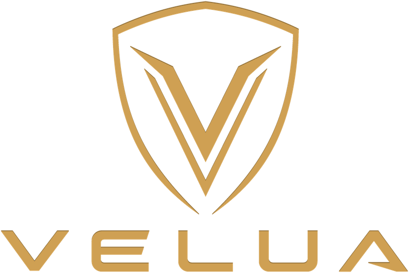 VELUA — Carbon Shin Guards